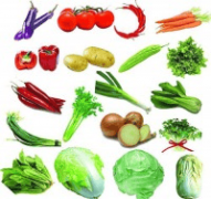 <b>特别广东山农基于全产的通明度</b>