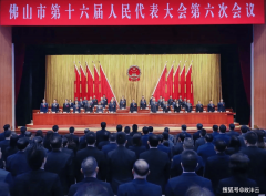 区分析实力全体跃升